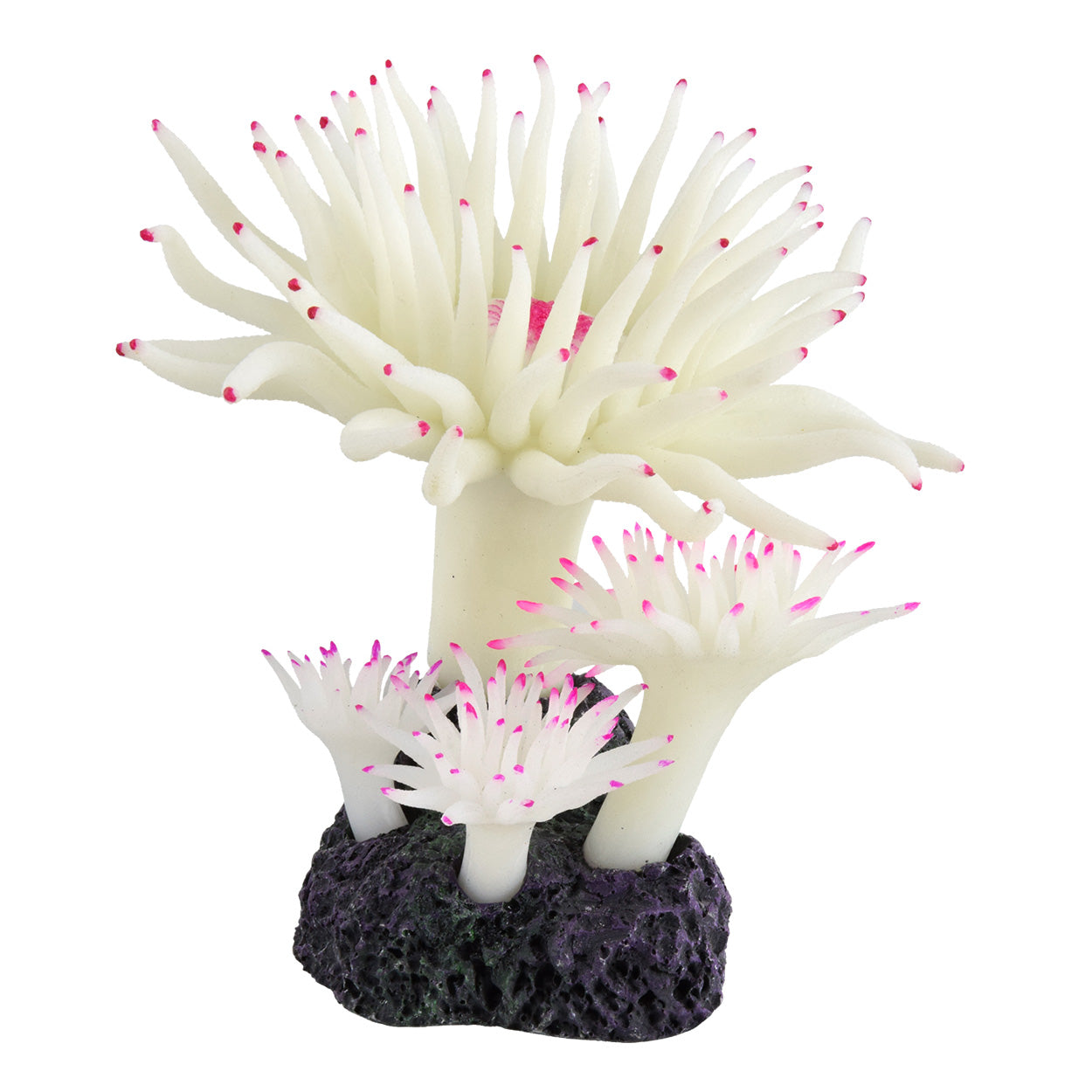 Underwater Treasures - Duncan Coral - Snow White