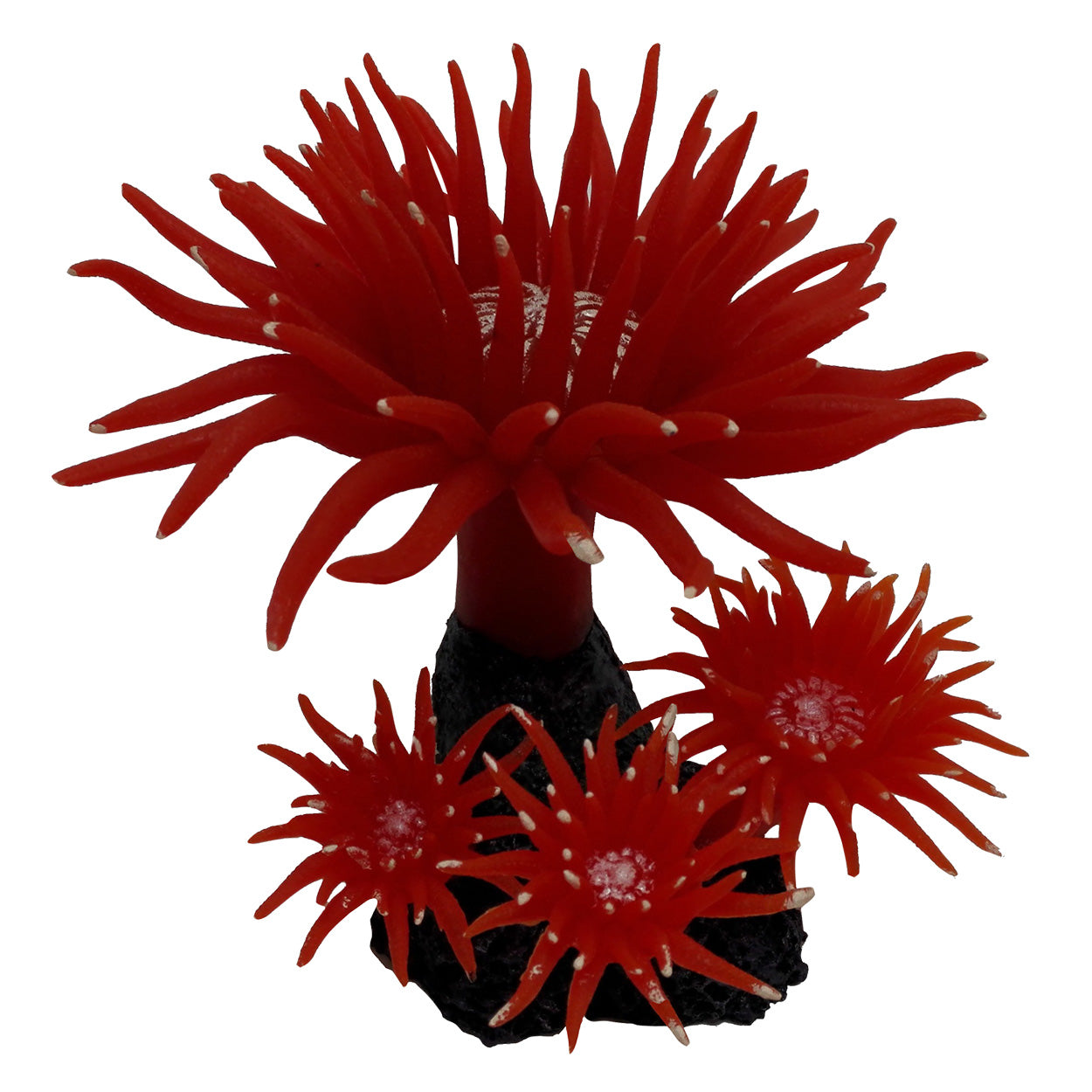 Underwater Treasures - Duncan Coral - Fire Red