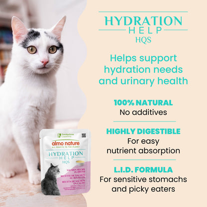 Almo Nature - HQS Hydration Help - Salmon Recipe In Broth