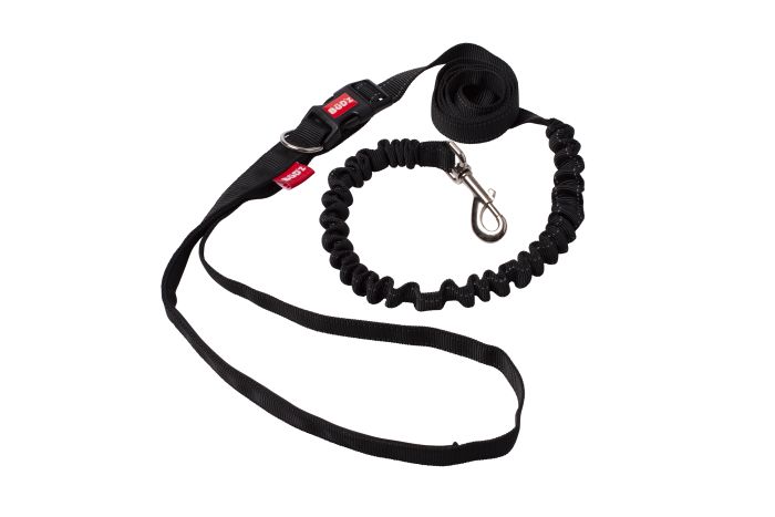 Bud'z - Dog Leash