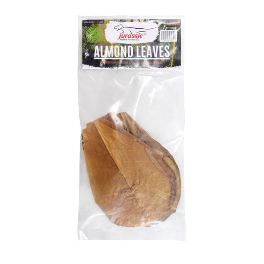 JRP - Almonds Leaves