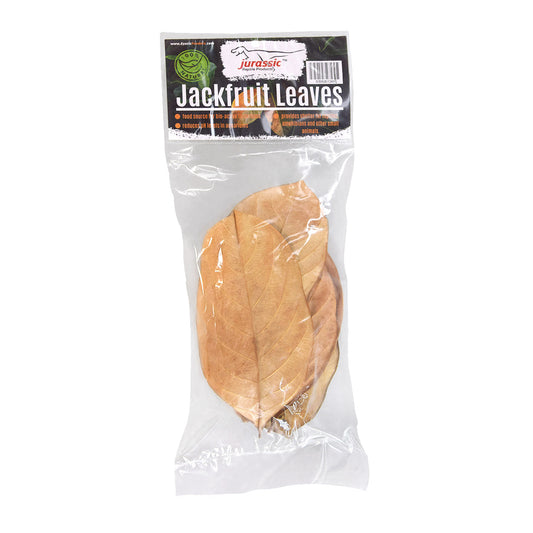 JRP - Jackfruit Leaves