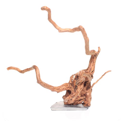 Underwater Treasures - Aquarium Wood