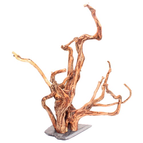 Underwater Treasures - Aquarium Wood