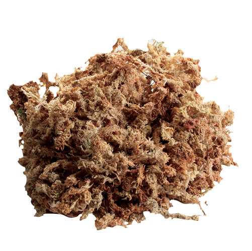 JRP - New Zealand Sphagnum Moss