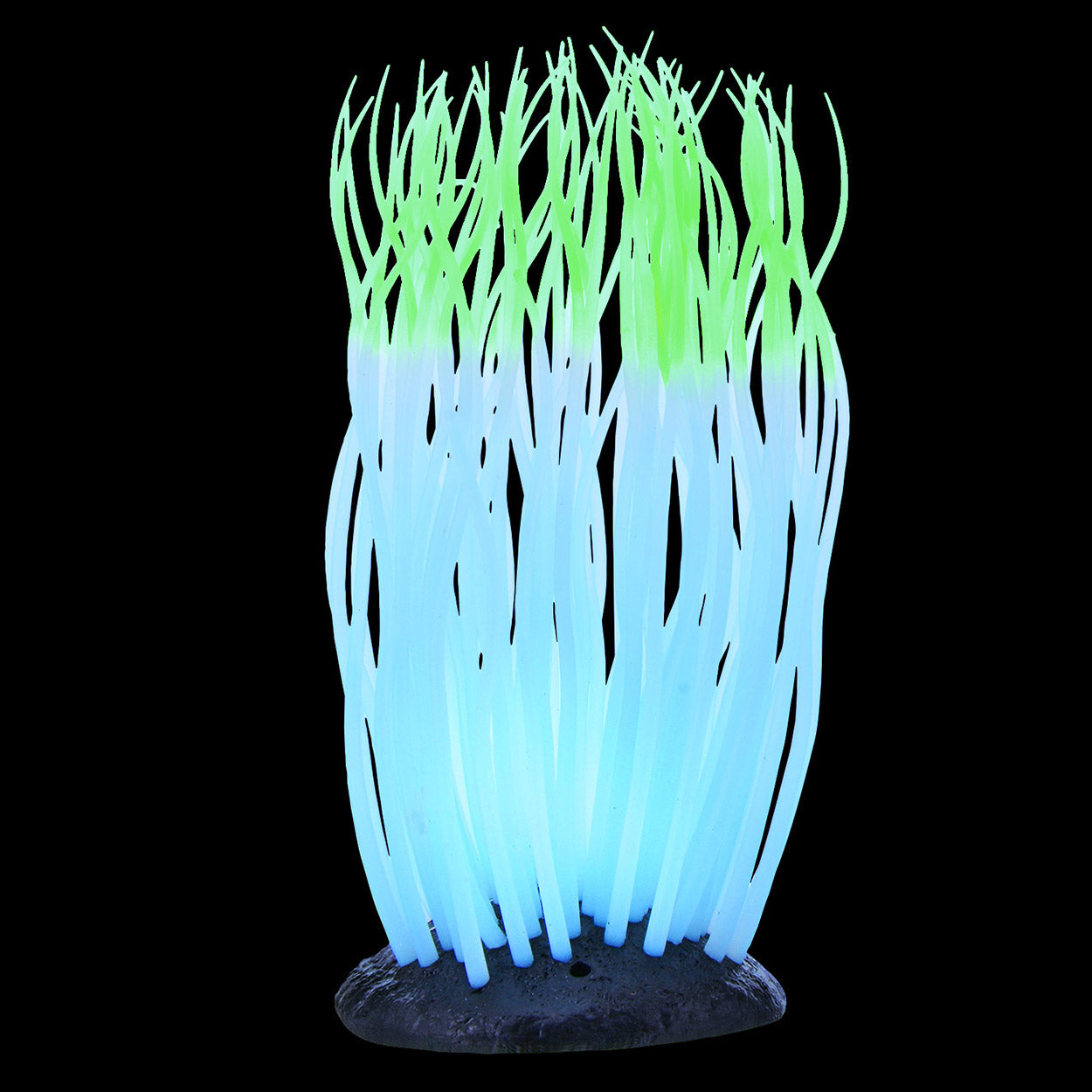 Underwater Treasures - Glowing Anemone - Green