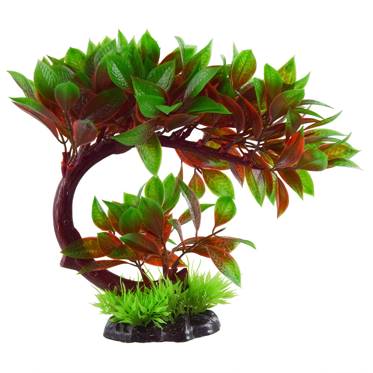 Underwater Treasures -  Red Ludwigia Bonsai