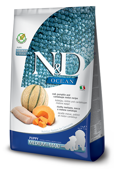 Farmina N&D Ocean Cod, Pumpkin & Cantaloupe Food for Puppies of Medium & Maxi Breeds