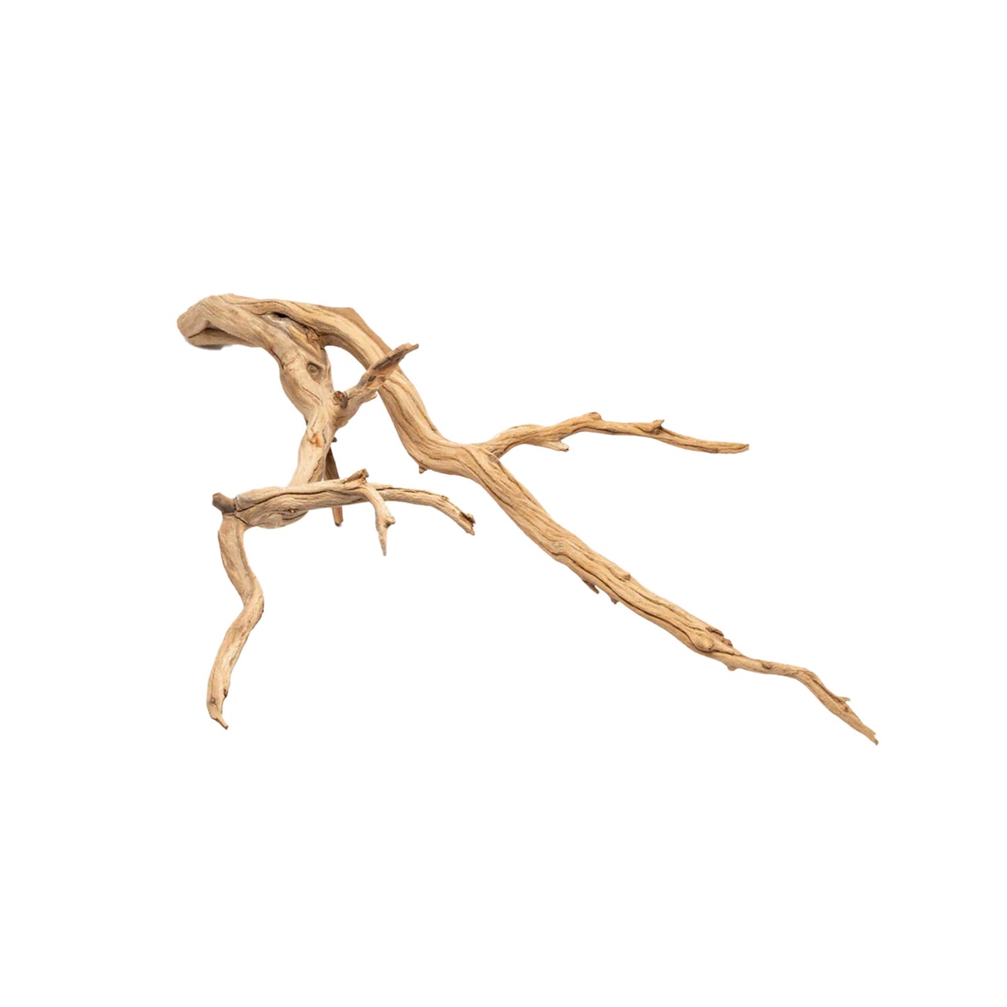 UNDERWATER TREASURES - Ghostwood