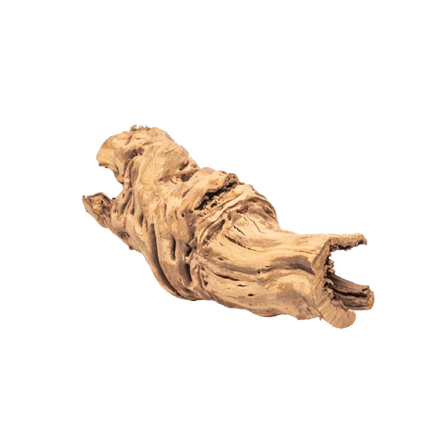 UNDERWATER TREASURES - Grapewood Log