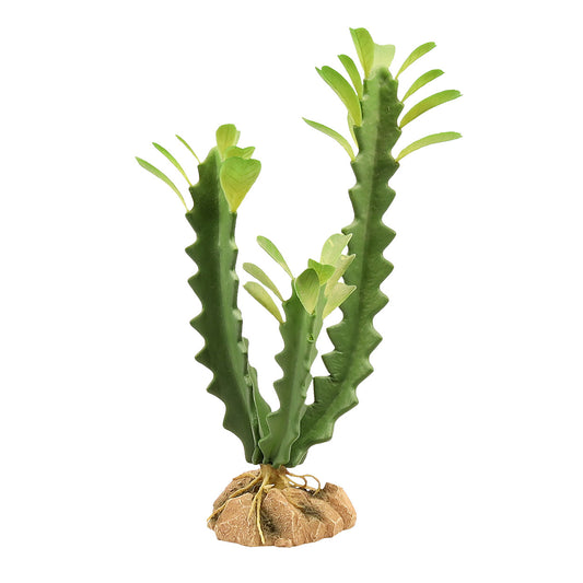 ZOO MED - Naturalistic Desert Flora - Euphorbia