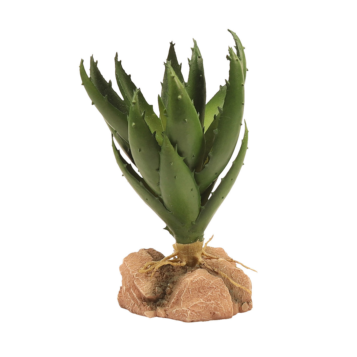 ZOO MED - Naturalistic Desert Flora - Green Aloe