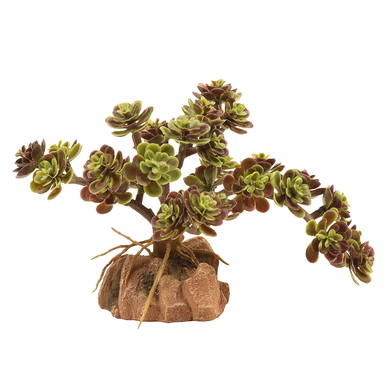 ZOO MED - Naturalistic Desert Flora - Red Leaf Stonecrop
