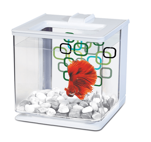 Marina - Aquarium équipé 360 - 10 Litres – Animalerie Boutique