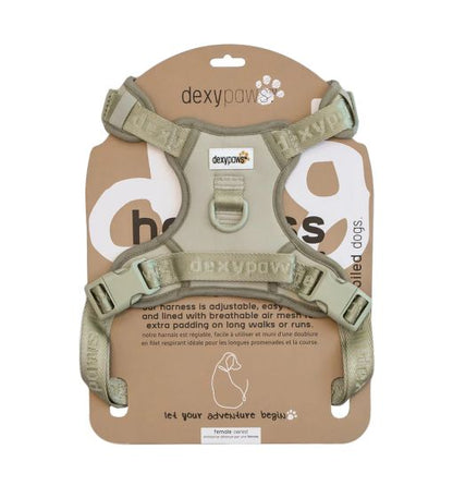 Dexypaws No-Pull Dog Harness