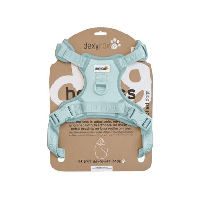 Dexypaws No-Pull Dog Harness