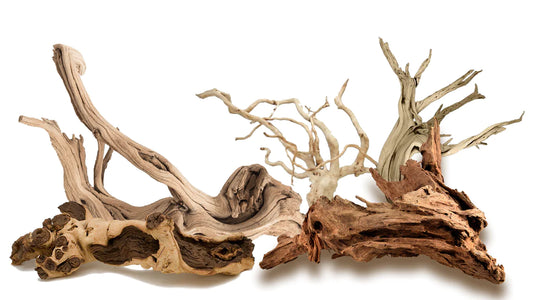 Dried Driftwood Variety