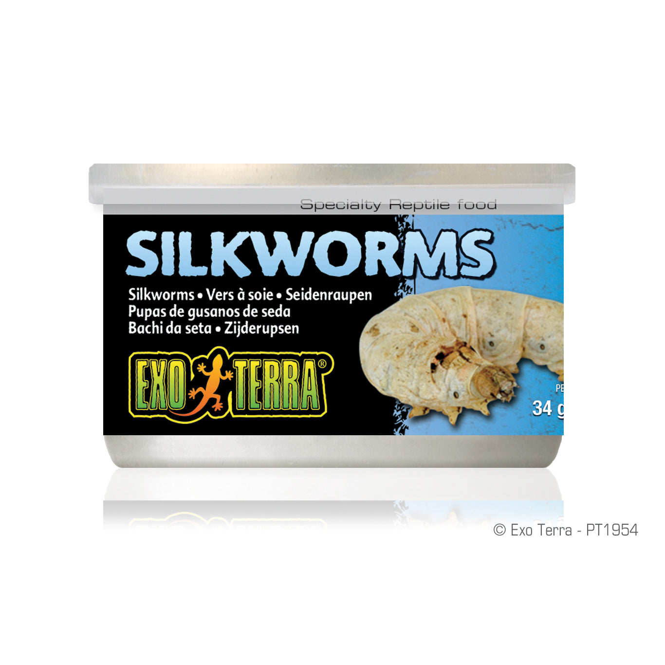 EXO TERRA - Silkworms (Pupea)