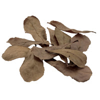 Fluval - Betta Tropical Almond Leaves