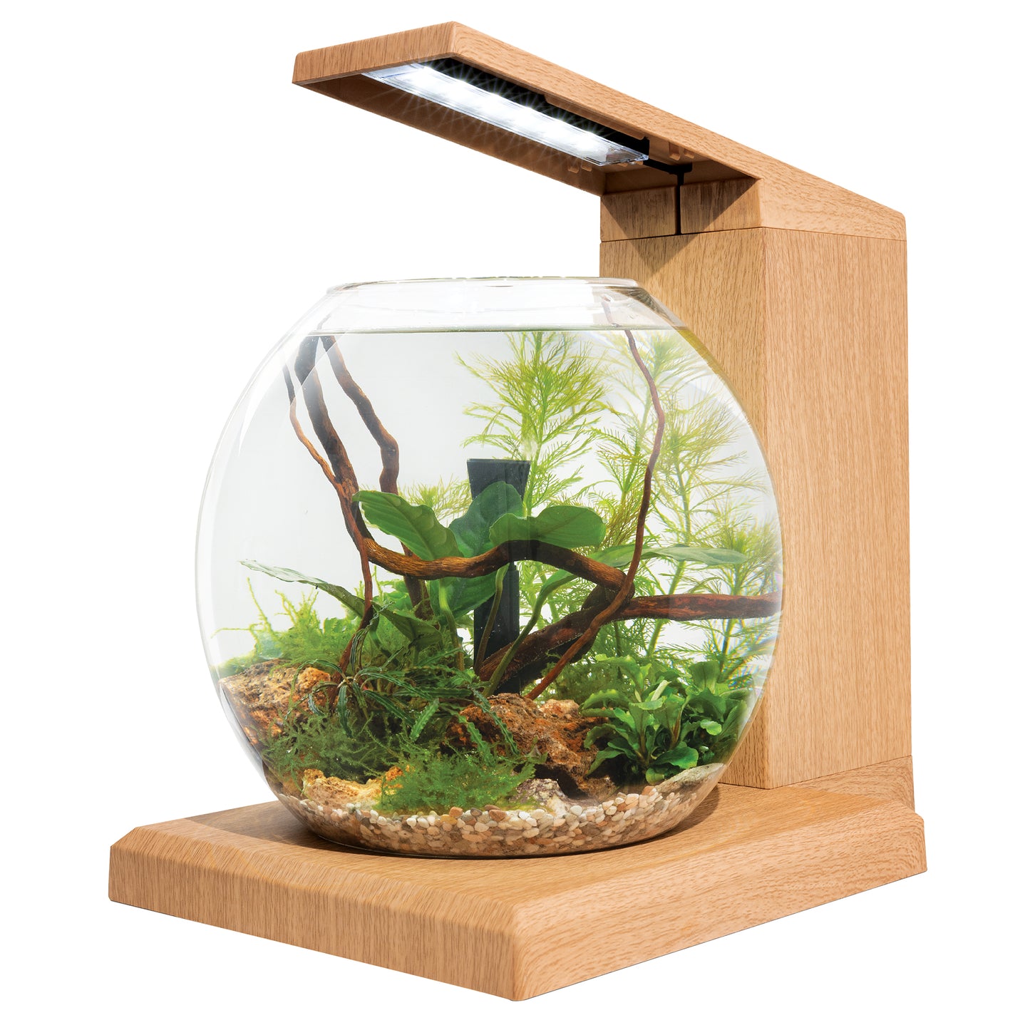 Fluval LIV - Aquarium Kit - Teak