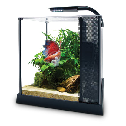 Fluval Premium Betta Kit 10L(2.5 US Gal)