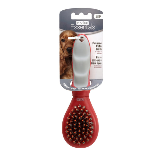 LE SALON - Essentials Dog Porcupine Bristle Brush - Small