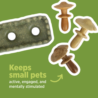 LIVING WORLD - Edible Mushrooms Chew Toy - Multicolour