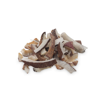 Living World - Coconut Chips