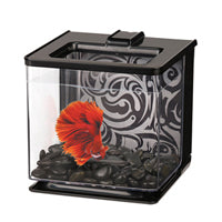 Marina - Aquarium Tanks