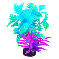 Marina - Aquarium Decoration