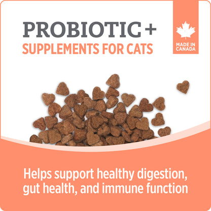 Nutrience Care - Supplement for Cats - Probiotic+