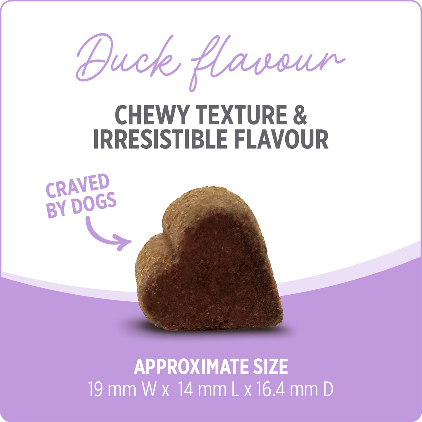 NUTRIENCE CARE - Supplement for Dogs - Hip & Joint - 100 soft chews - 400g