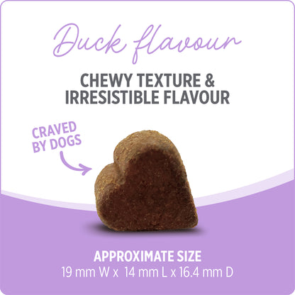 NUTRIENCE CARE - Supplement for Dogs - Hip & Joint - 100 soft chews - 400g