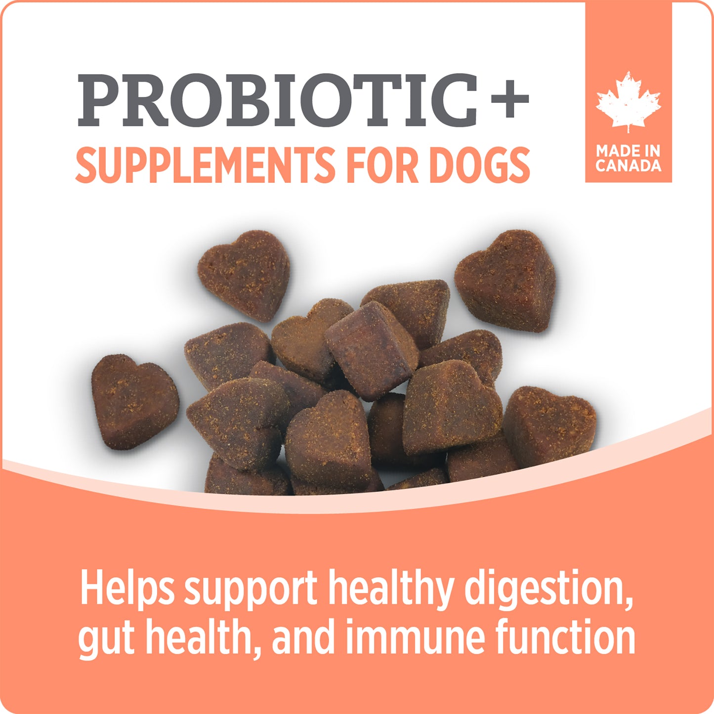 NUTRIENCE CARE - Supplement for Dogs - Probiotic+ - 100 soft chews - 400g