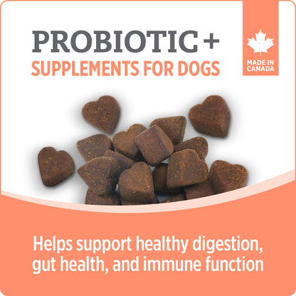 NUTRIENCE CARE - Supplement for Dogs - Probiotic+ - 100 soft chews - 400g