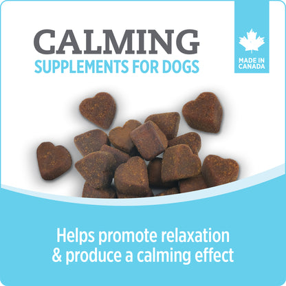 NUTRIENCE CARE - Supplement for Dogs - Calming - 100 soft chews - 400g