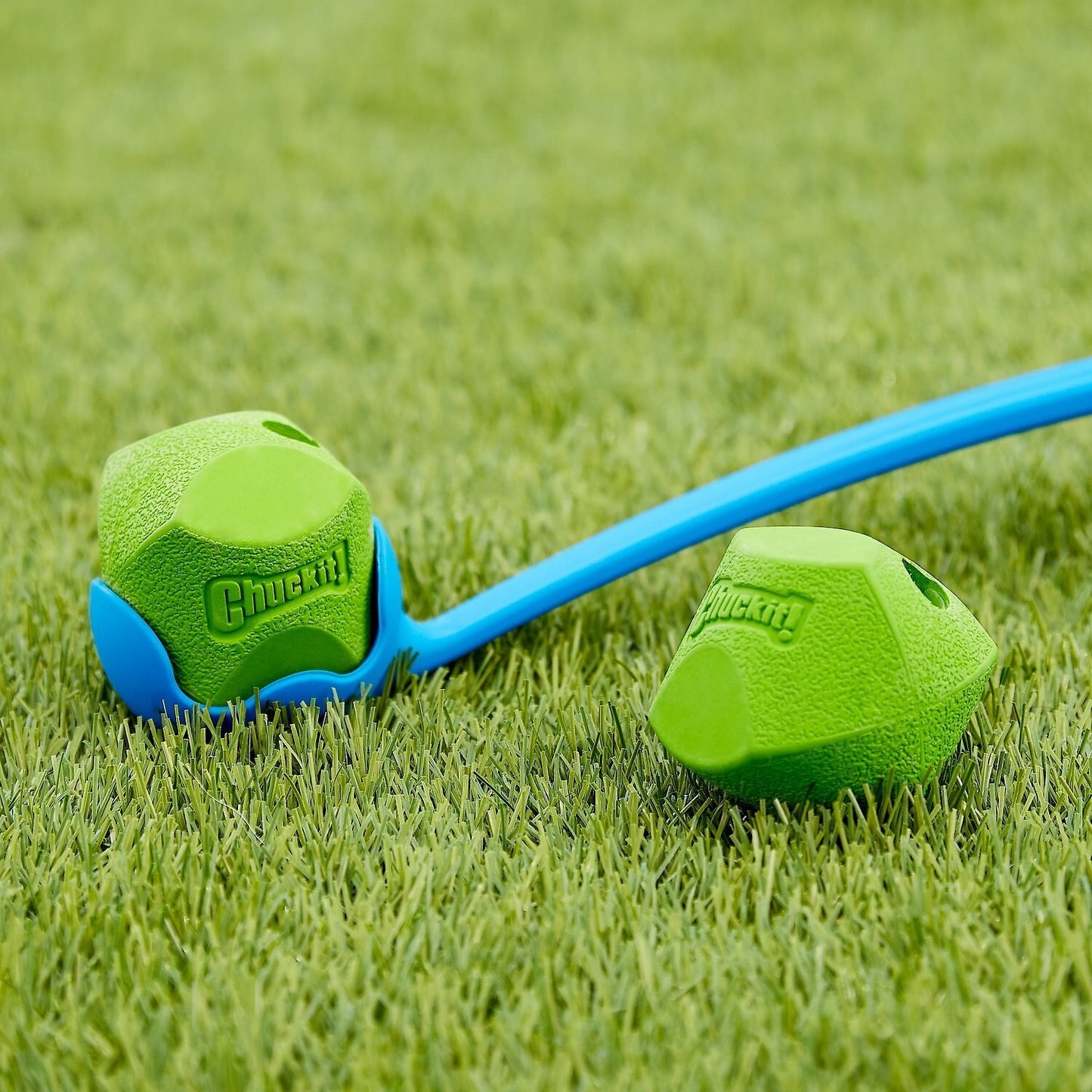 Chuckit - Erratic Ball Dog Toy