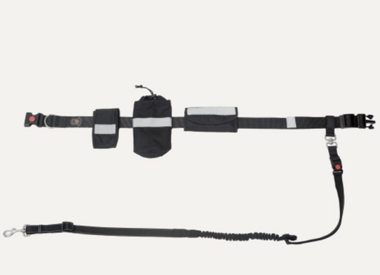 Goo-eez -  Waits Bungee Leash