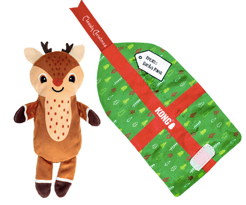 Kong- HOLIDAY - Pull-A-Partz Present