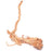 Underwater Treasures - Terrarium Wood Root Small