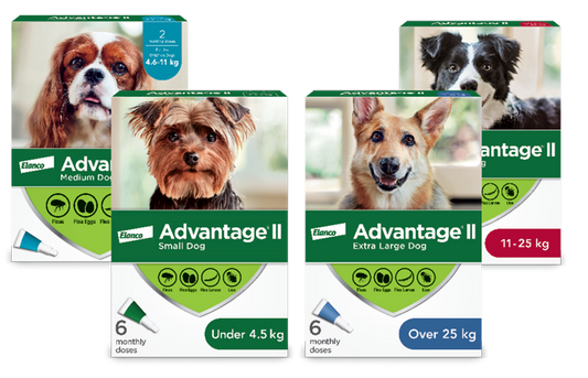 Advantage II - Dog