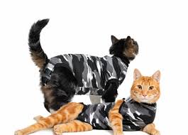 Suitical - Recovery Suit For Cats