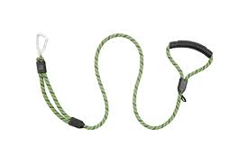 RC Pets - Premium Leash 5/16 x 5 Dark Olive