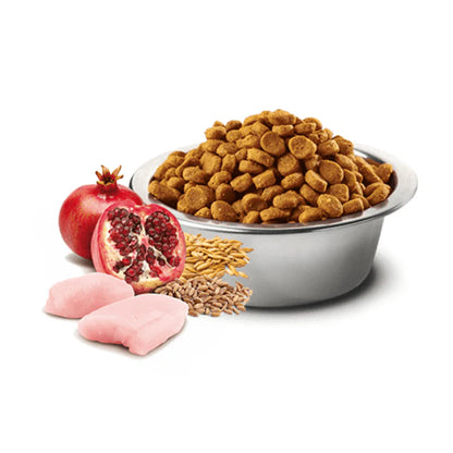 Farmina - Senior Mini Dog - Ancestral Grains - Chicken Pomegranate