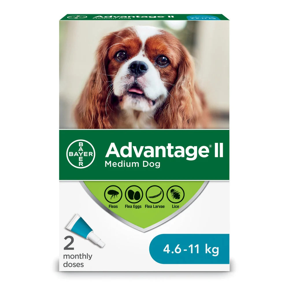 Advantage II - Dog