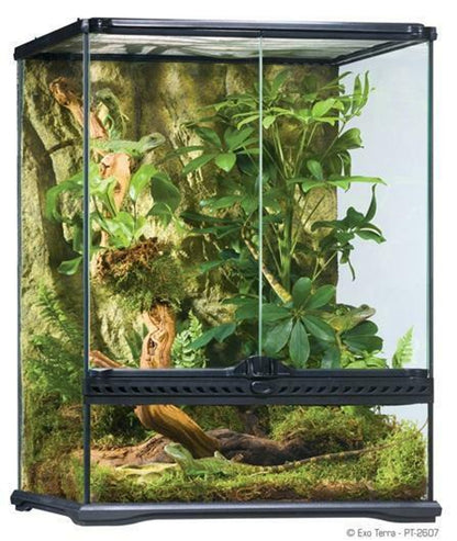 Exo Terra Allglass Terrarium, 18" x 18" x 24"