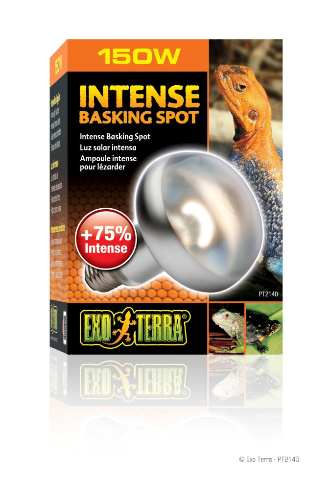 Exo Terra - Intense Basking Bulb