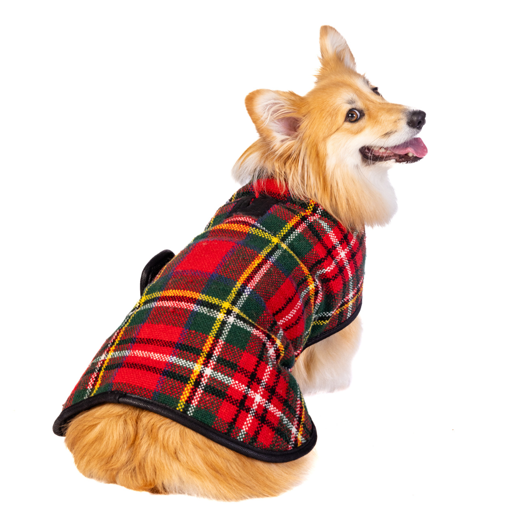 Chilly Dog - Blanket Coat