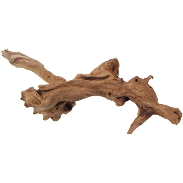 Dried Driftwood Variety