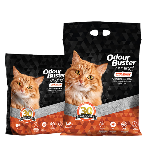 Odour Buster - Original Premium Cat Litter